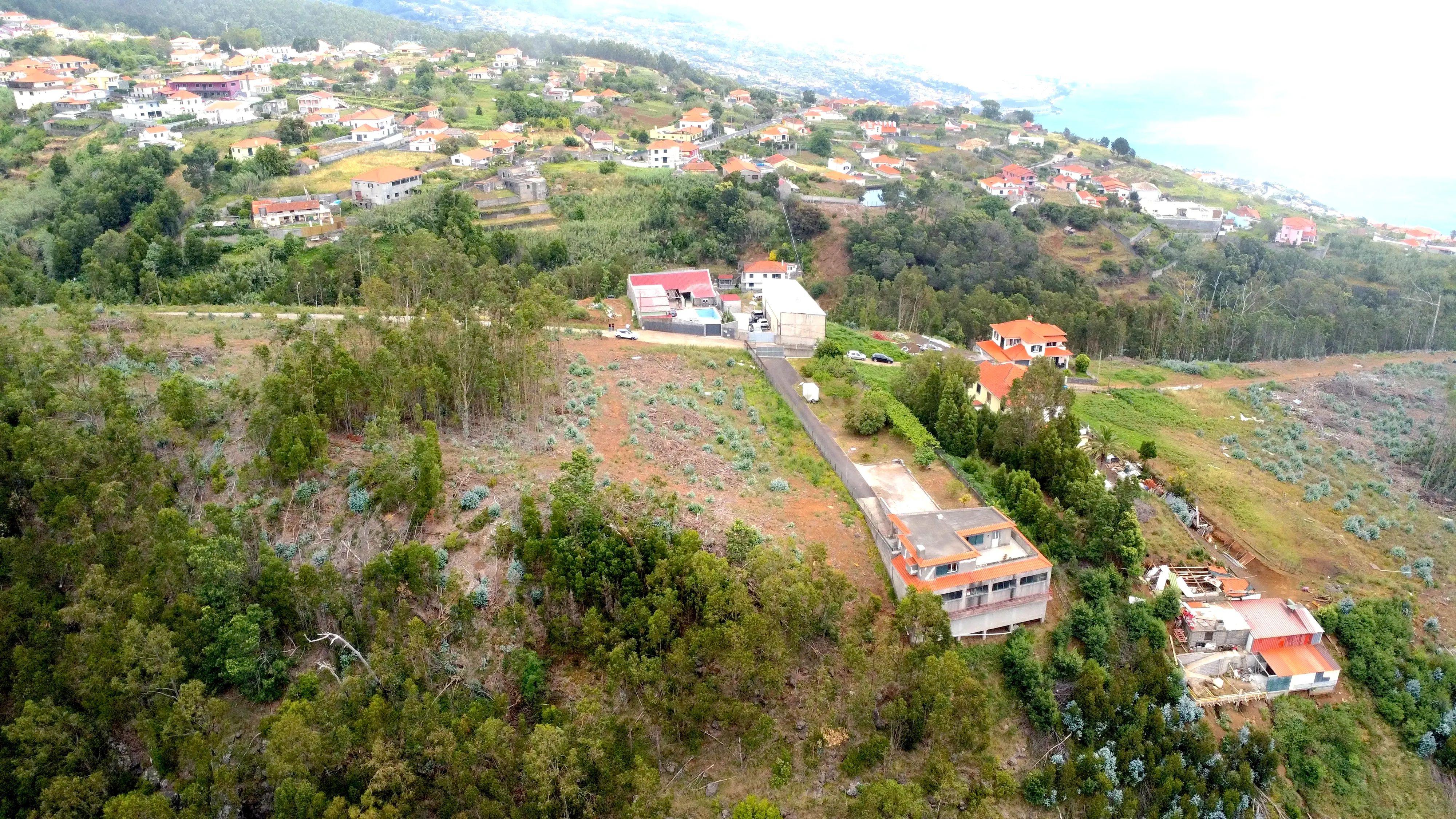 Fotografia 4 de Terreno Rústico em Gaula, Santa Cruz - Ilha da Madeira