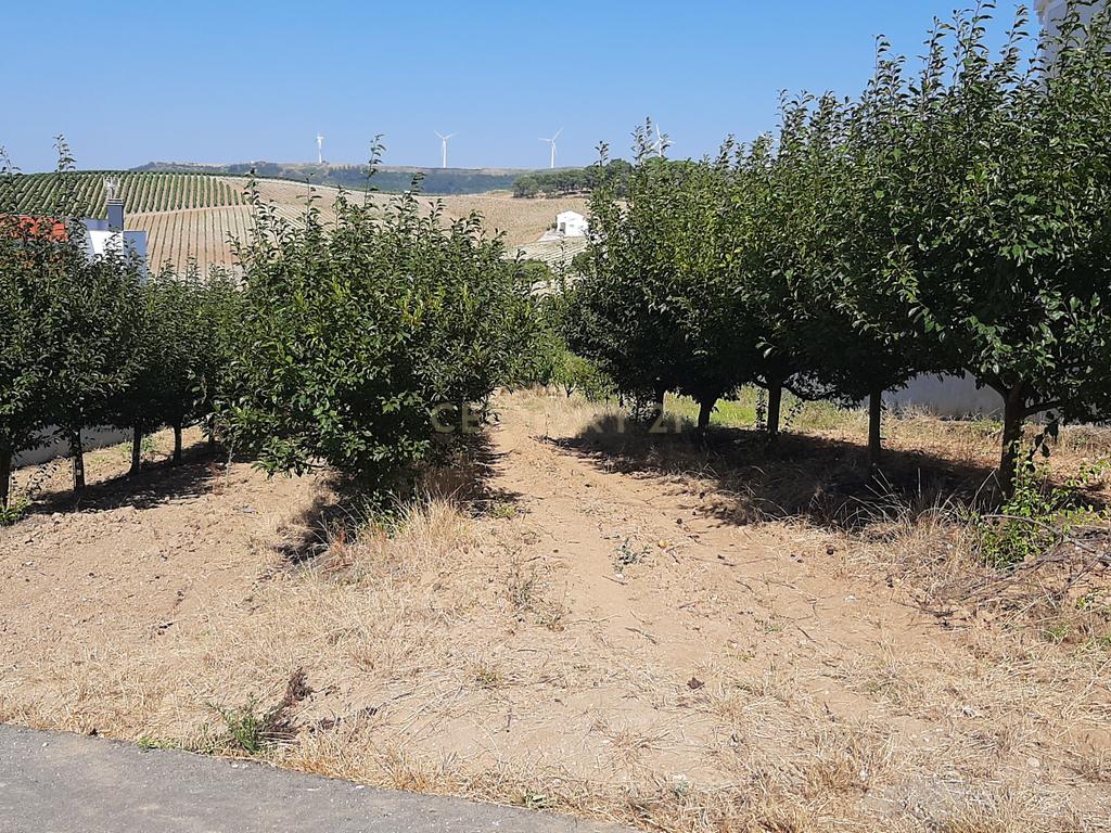 Terreno para construção Condomínio 2 Moradias + anexo comum em Turcifal - Image 4