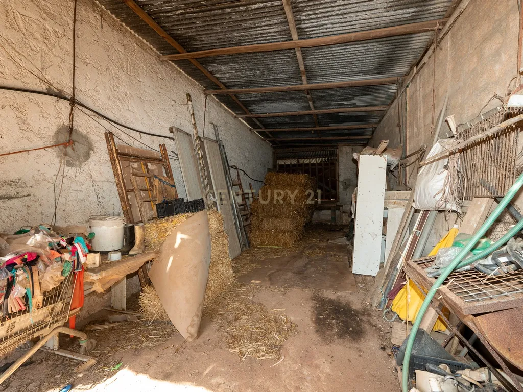 TERRENO à VENDA em ABOBOREIRA, Azueira - Image 39