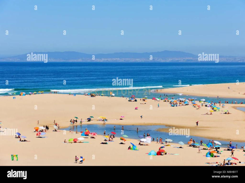 Terreno na Lagoa de Albufeira com 204m2 - Image 10