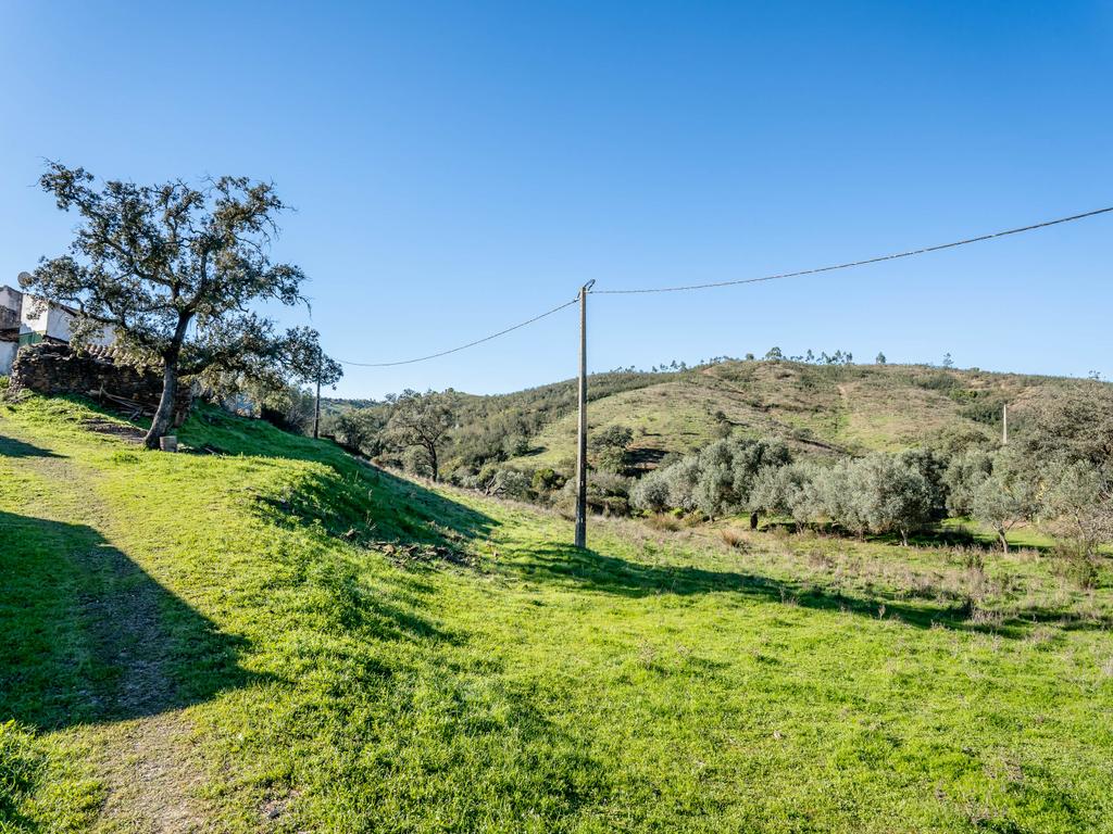 Quinta com moradia para reabilitação, na zona de Messines - Image 20