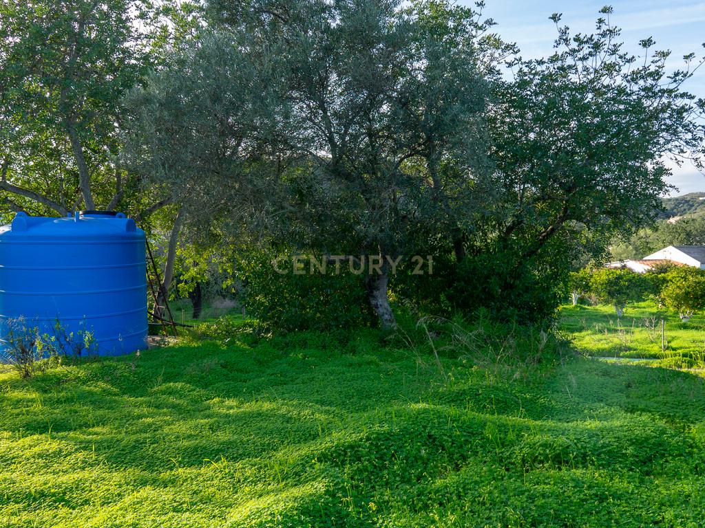 Quinta dos Netos em Santa Catarina da Fonte do Bispo - Image 46
