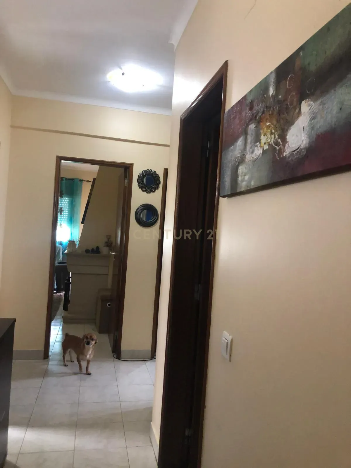 Apartamento T3 no Bairro Afonso Costa - Centro de Setúbal - Image 13