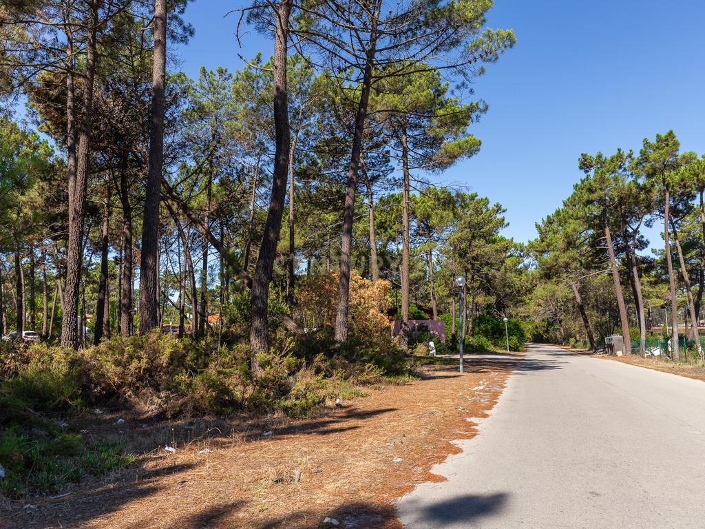 Terreno para Moradia de Luxo com Piscina e Jardim na Herdade da Aroreira - Image 23
