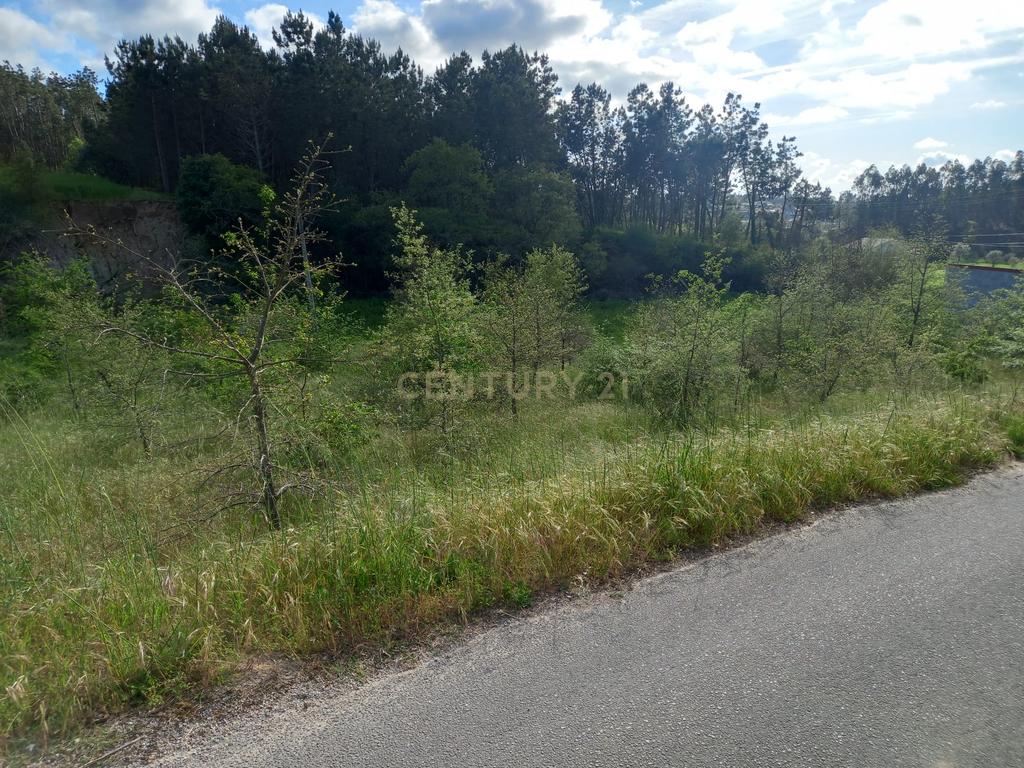Terreno com 800 m2 em Barbas Novas - Image 1