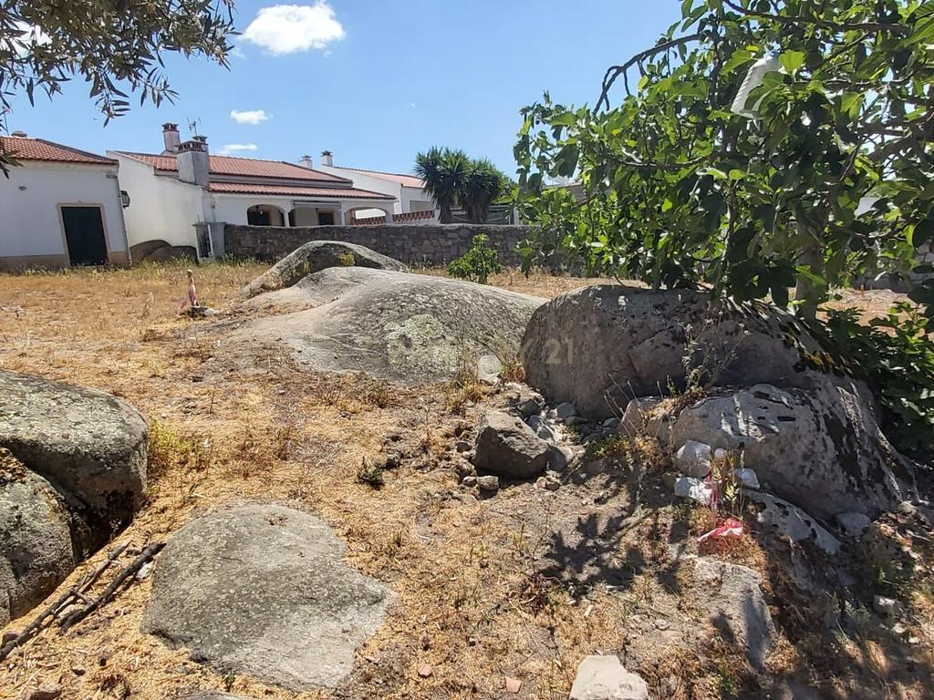 PEDROGÃO ALENTEJO - EXCELENTE TERRENO PARA CONSTRUÇÃO - Image 18