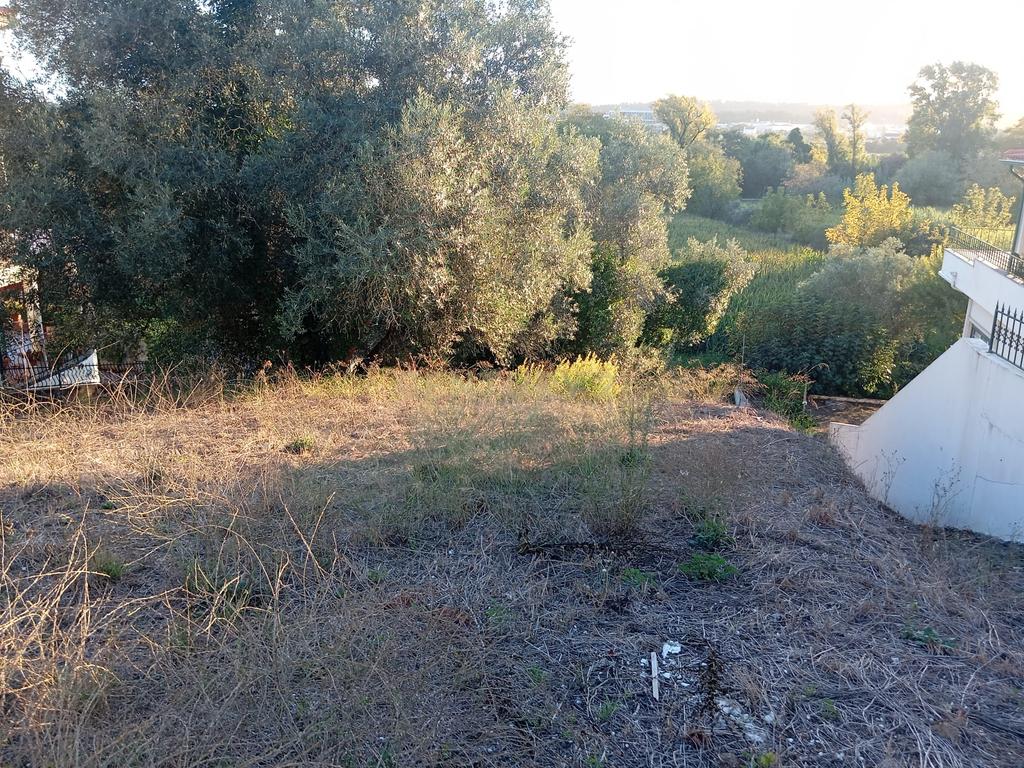 EXCELENTE LOTE DE TERRENO ENCOSTA DO SOL SOURE - Image 15