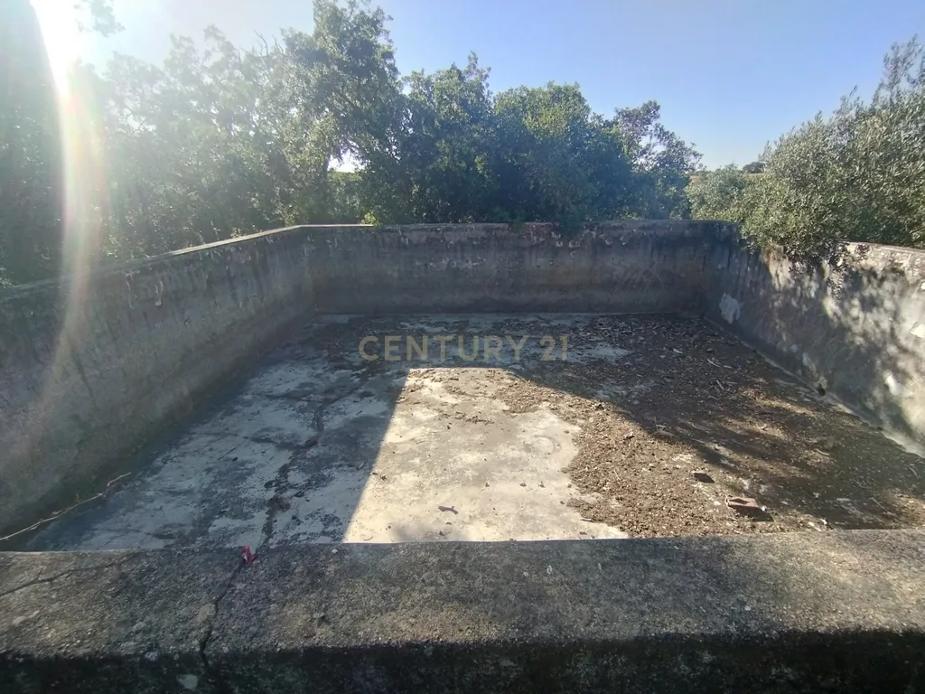 Propriedade com mais de 18 hectares de terreno rústico, localizado no Baixo Alentejo, concelho de Almodôvar - Image 10