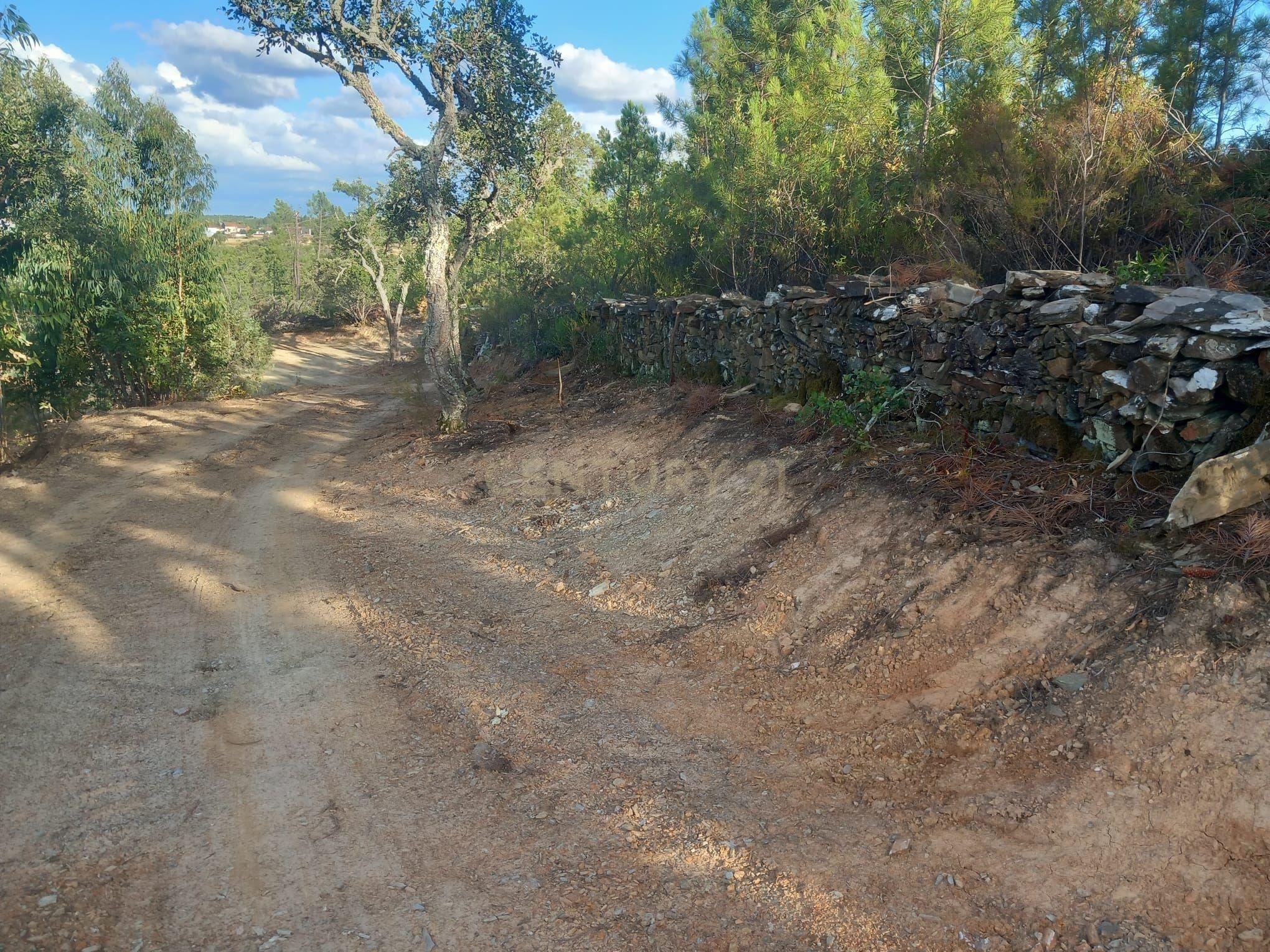 Fotografia 10 de Terreno em Benquerenças, Castelo Branco - 2800m²