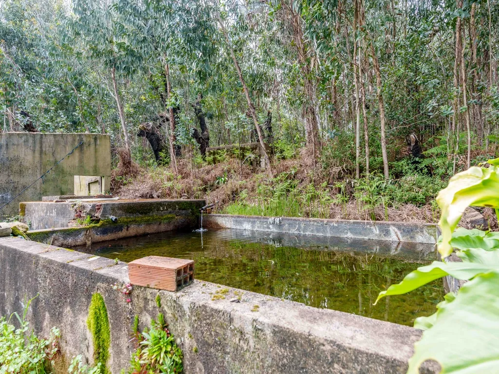 QUINTA COM 2,5 HECTARES EM ZONA CENTRAL DE MONCHIQUE - Image 32