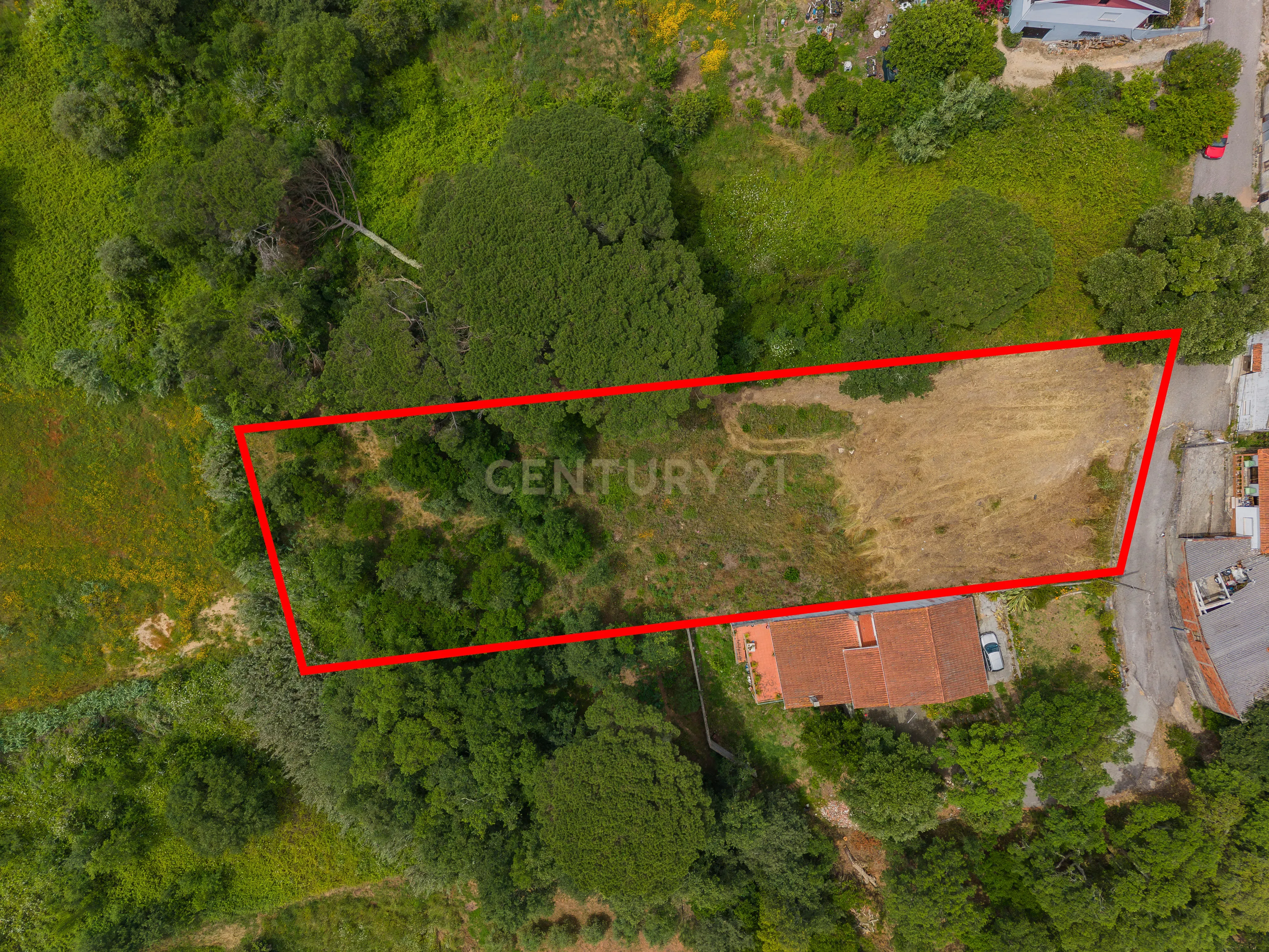 Fotografia 8 de Terreno com 2.705 m² na Boavista, Alcobaça