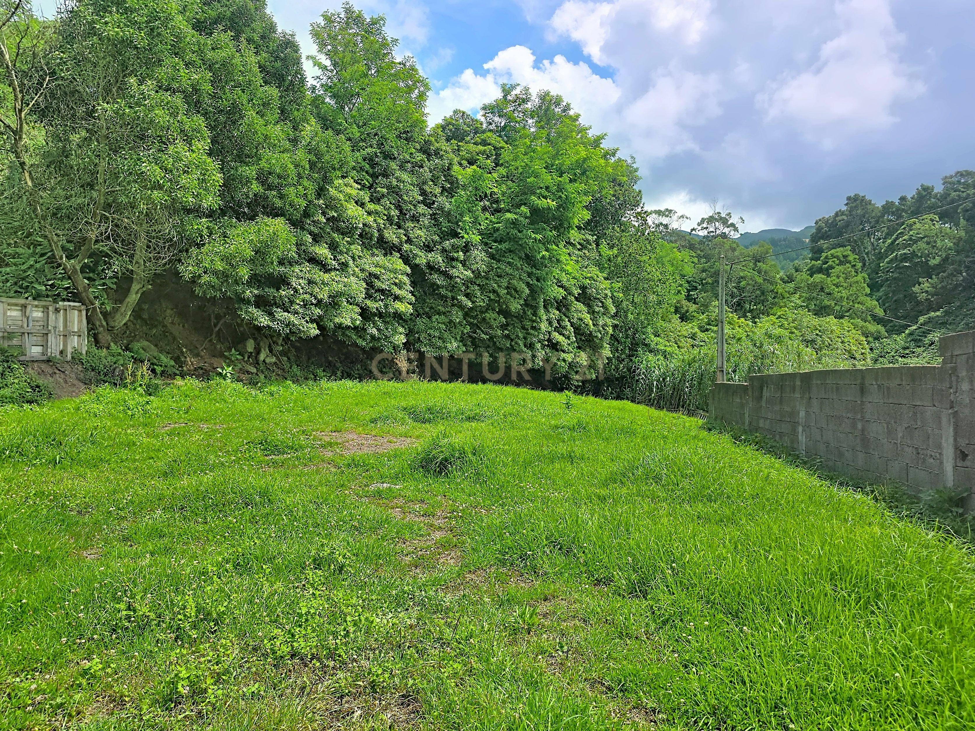 Fotografia 5 de Terrenos em Ribeira Seca, Ribeira Grande