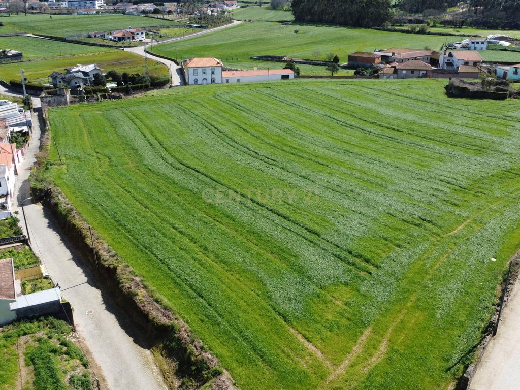 Terreno com PIP aprovado para 21 moradias - Gião, Vila do Conde  - Image 7
