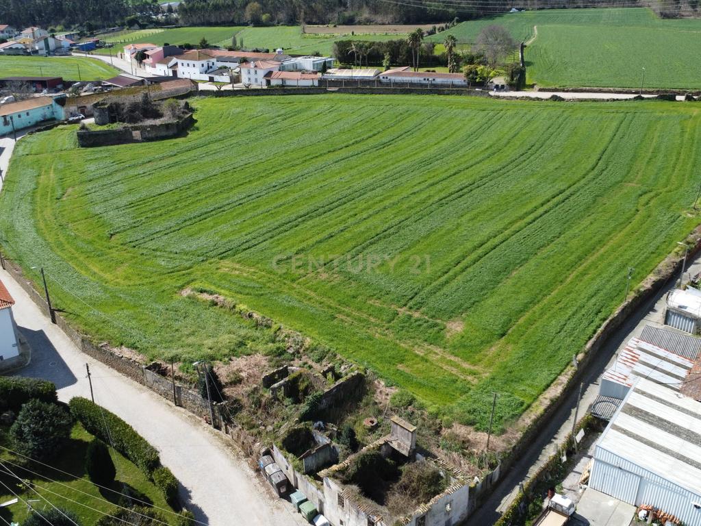 Terreno com PIP aprovado para 21 moradias - Gião, Vila do Conde  - Image 9