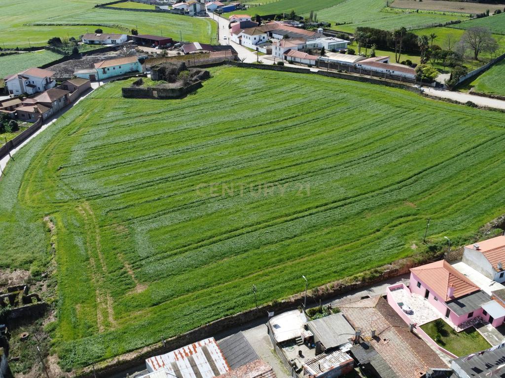 Terreno com PIP aprovado para 21 moradias - Gião, Vila do Conde  - Image 10