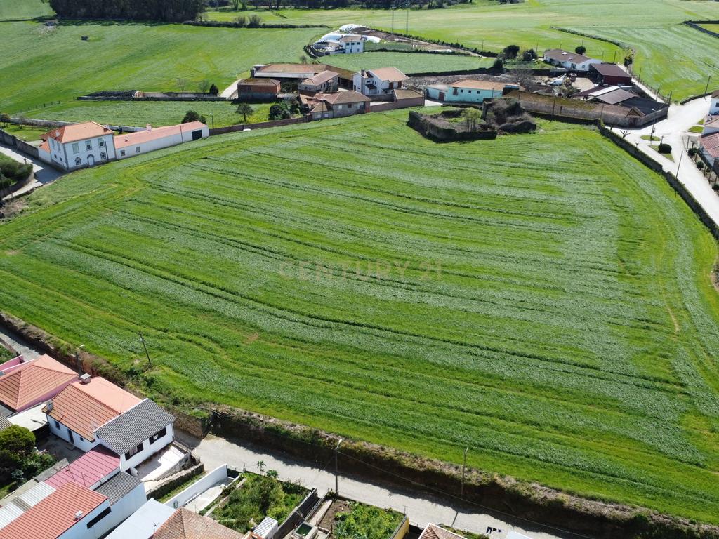 Terreno com PIP aprovado para 21 moradias - Gião, Vila do Conde  - Image 5