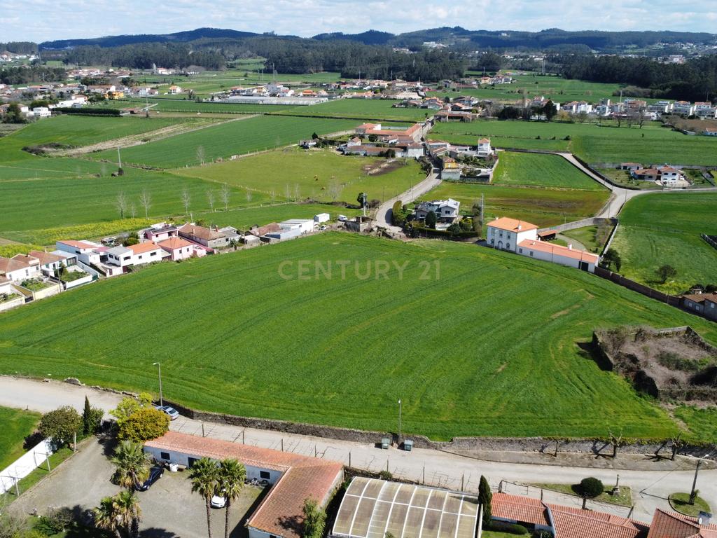 Terreno com PIP aprovado para 21 moradias - Gião, Vila do Conde  - Image 4