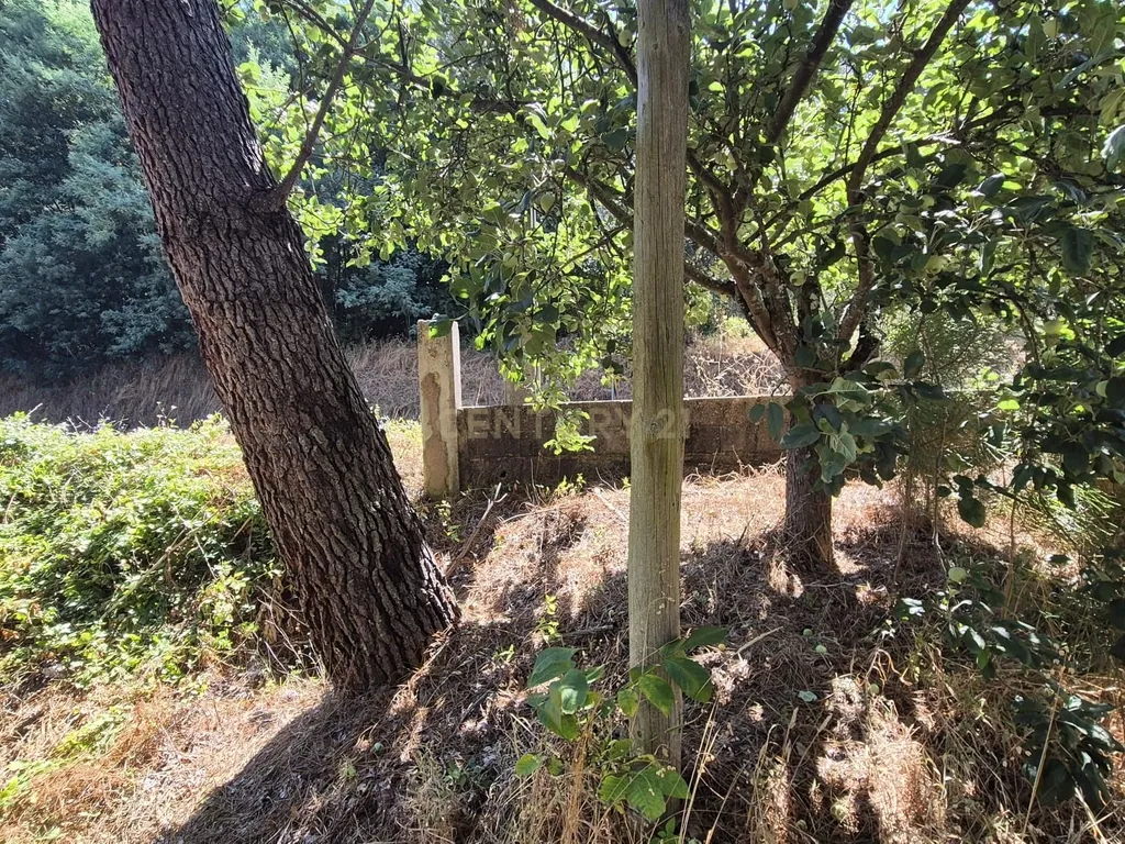 Terreno para Construção em Pombal, Leiria - Oportunidade Única! - Image 10