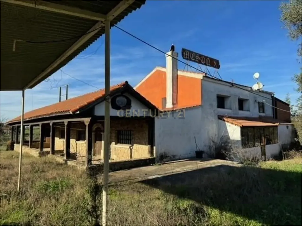 - Image 2