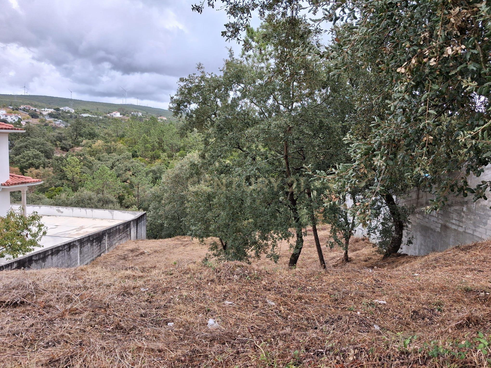Fotografia 7 de Lote em Zona Nobre de Pombal