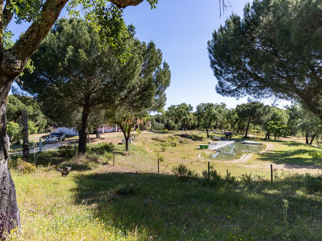 Quinta a 1 hora de Lisboa - Cortiçadas de Lavre - Próximo novo Aeroporto!!! - Image 120