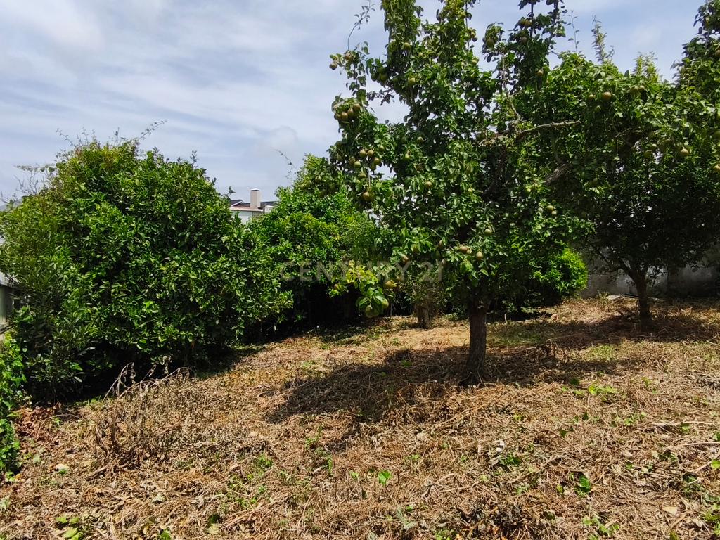 Moradia T4 em Torres Vedras em lote de 625m2 - Image 16