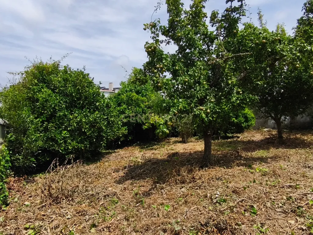 Moradia T4 em Torres Vedras em lote de 625m2 - Image 16