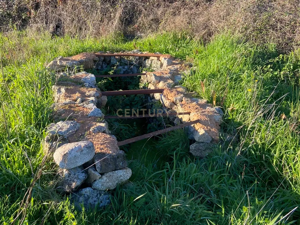 Magnífico terreno rústico com 1,9 hectares - Penamacor - Image 16