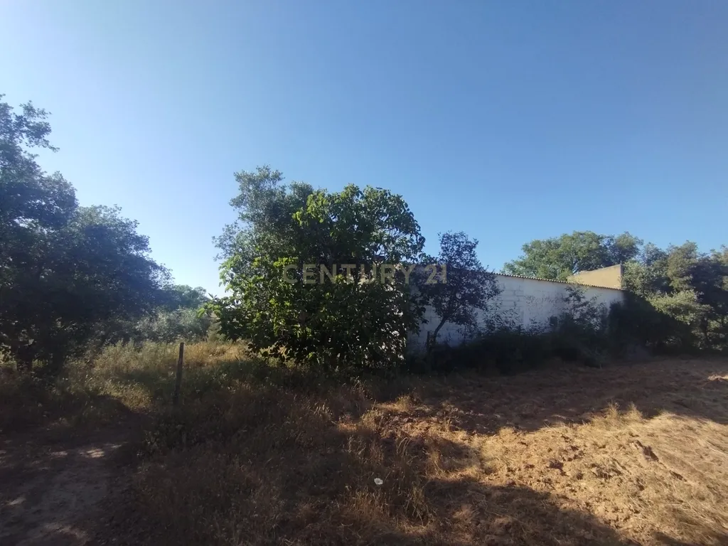 Propriedade com mais de 18 hectares de terreno rústico, localizado no Baixo Alentejo, concelho de Almodôvar - Image 9