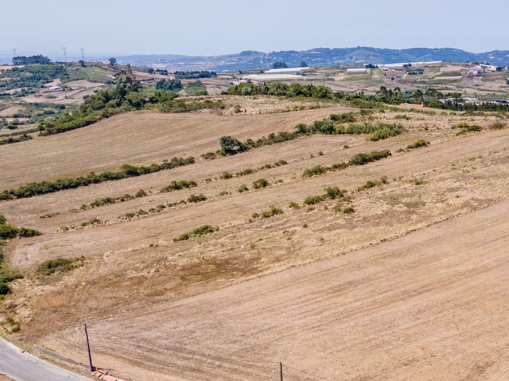 Terreno - Image 3