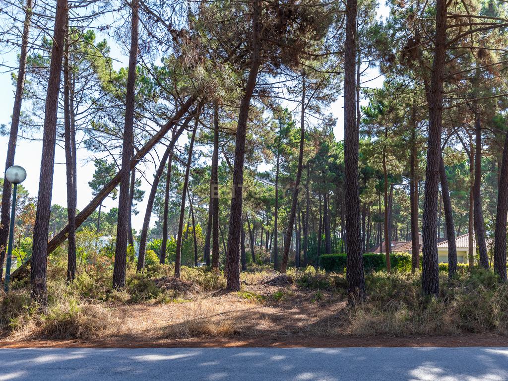 Terreno para Moradia de Luxo com Piscina e Jardim na Herdade da Aroreira - Image 15