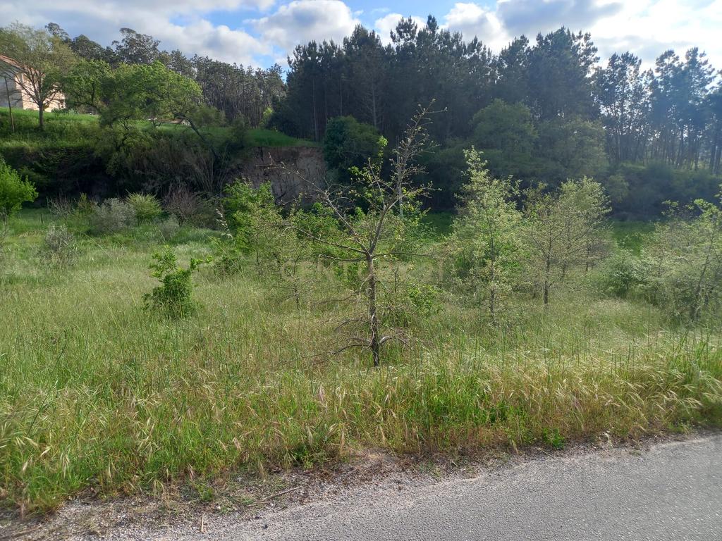 Terreno com 800 m2 em Barbas Novas - Image 2