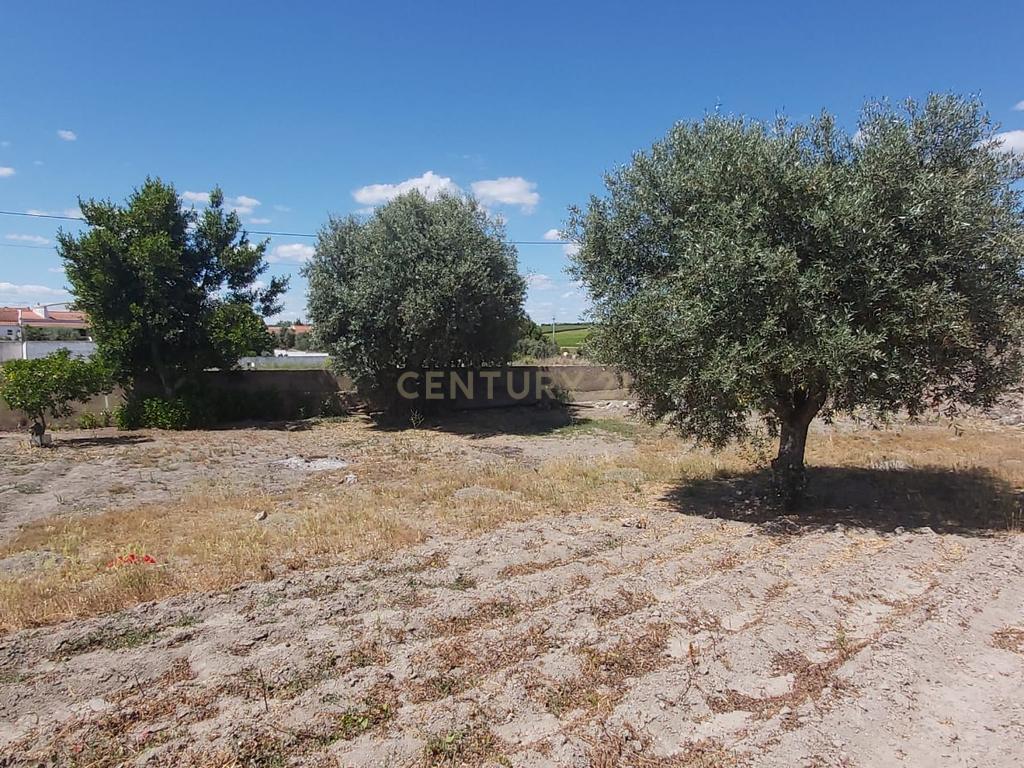 PEDROGÃO ALENTEJO - EXCELENTE TERRENO PARA CONSTRUÇÃO - Image 12