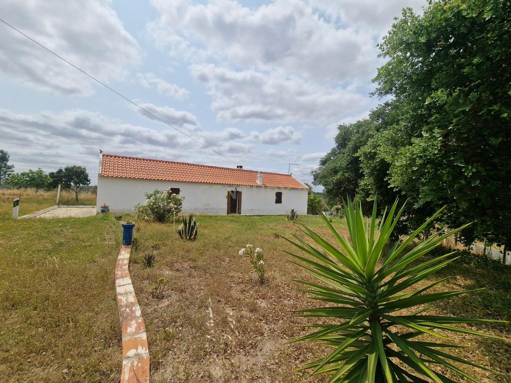 Monte/Terreno em Santiago do Cacém, com Vista Campestre e Árvores Frutíferas - Image 2