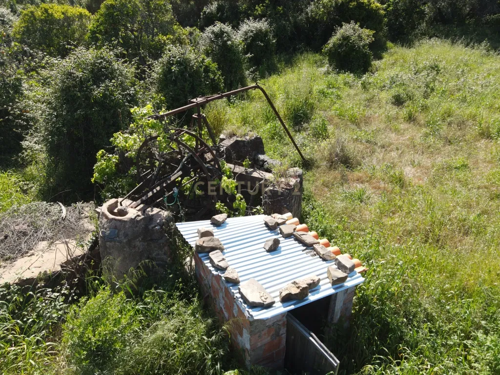 Oportunidade Única – Quinta com Potencial e Ribeira Natural - Image 9