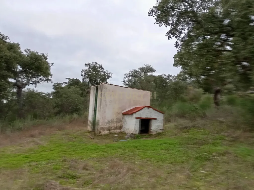 🏡 Quinta rural com casa e piscina na Serra de San Pedro (Cáceres) 🌿 - Image 30