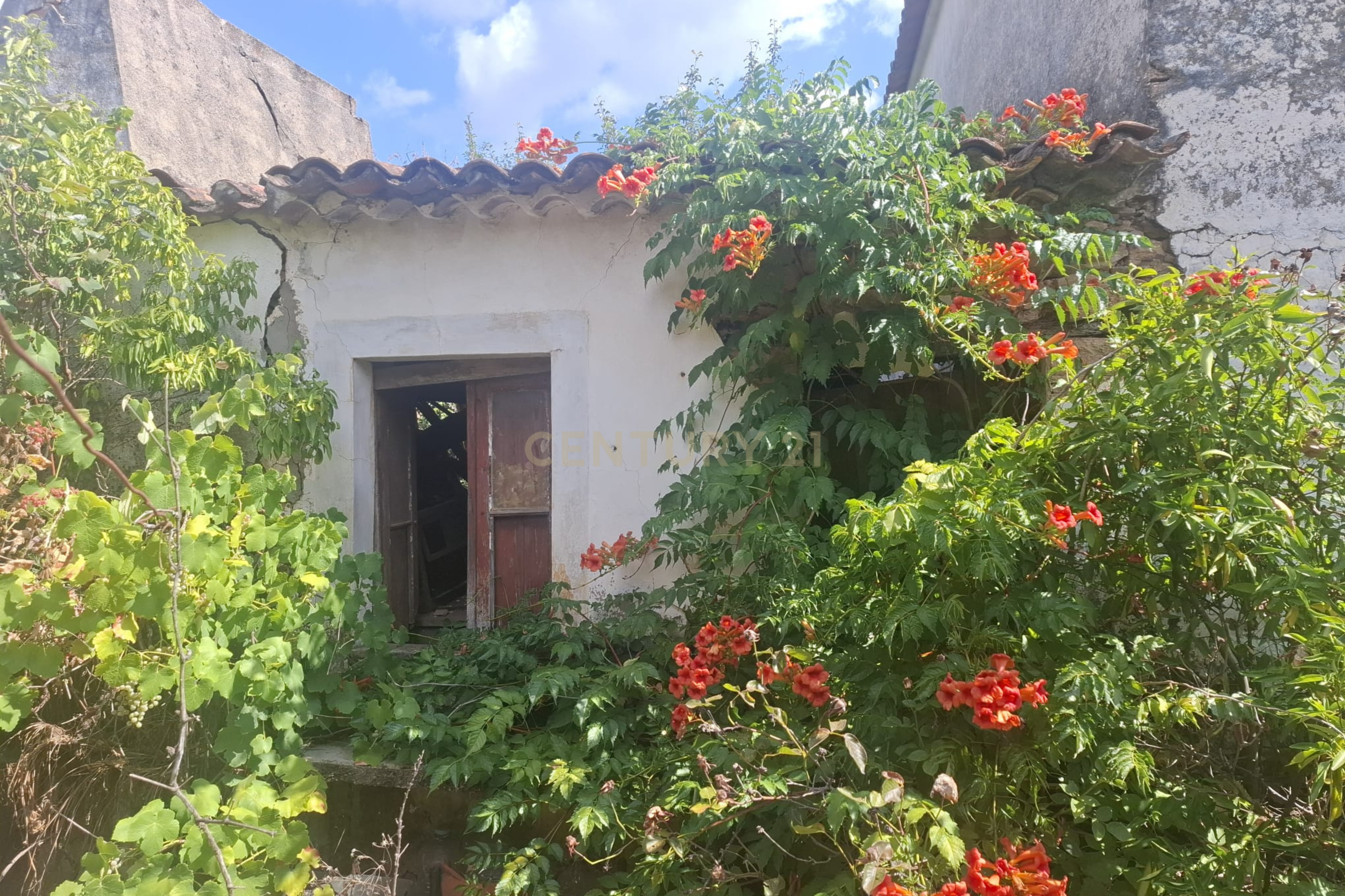Fotografia 8 de Casa para Recuperação em Alcaravela, Sardoal