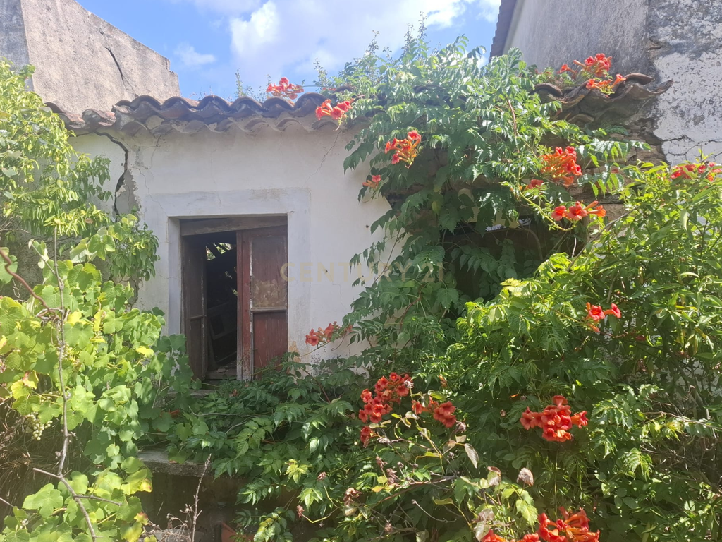 Casa para Recuperação em Alcaravela, Sardoal - Image 8