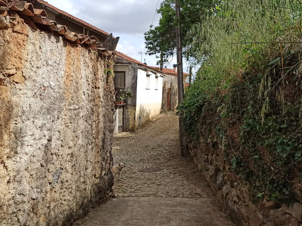 Casa Antiga em Coimbra para Recuperação com Boa Exposição Solar - Image 9