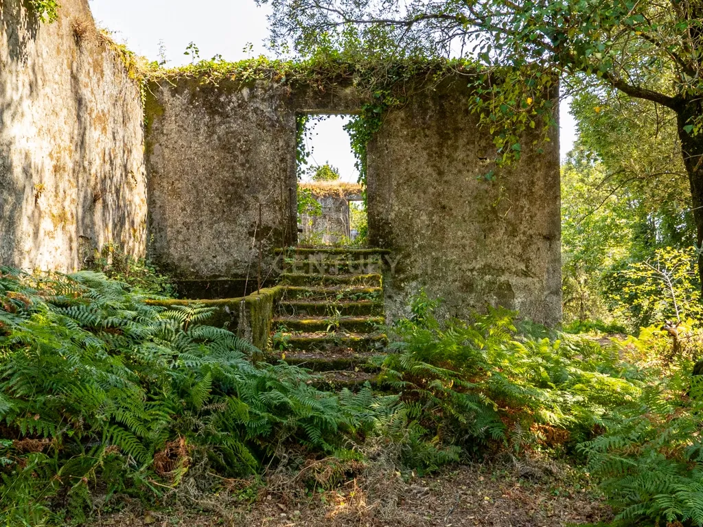 Quinta para reconstrução , em Anais, em Ponte de Lima – a vila mais antiga de Portugal. - Image 32