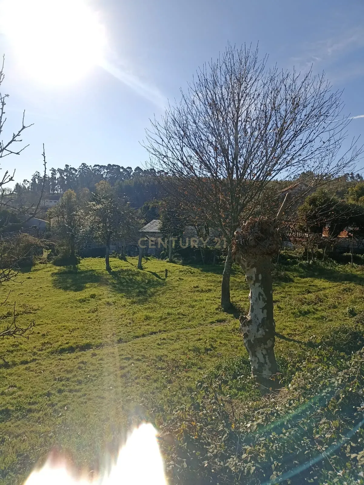 Moradia T3 à venda em Serzedelo, Póvoa de Lanhoso — foto 10