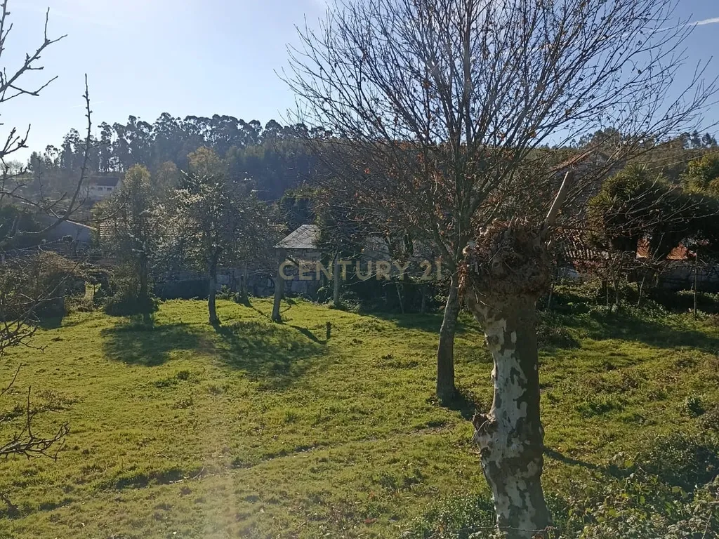 Quintinha Única com 6000m² de Terreno Construtivo – Serzedelo, Póvoa de Lanhoso - Image 10