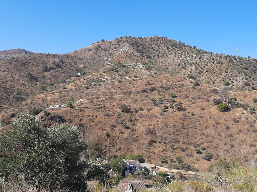 QUINTA RÚSTICA COM 11.000 m² DE TERRENO, PRIVACIDADE E VISTAS PANORÂMICAS EM ÁLORA - Image 34
