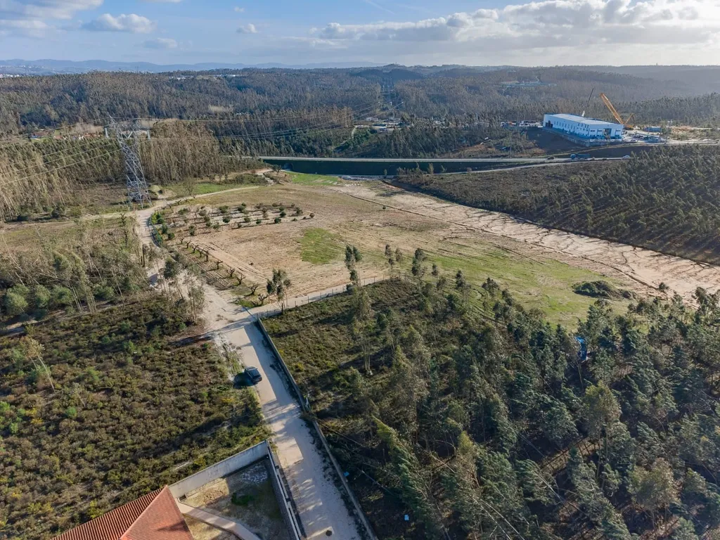 Terreno Rústico com Viabilidade de Construção — Barosa, Leiria - Image 5