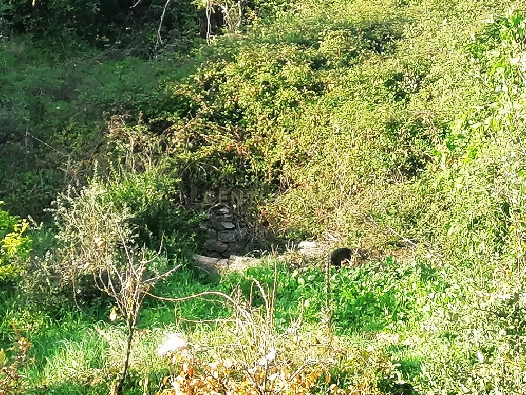 Ruina para recuperar em Cachopo a 40 minutos de Tavira - Image 13