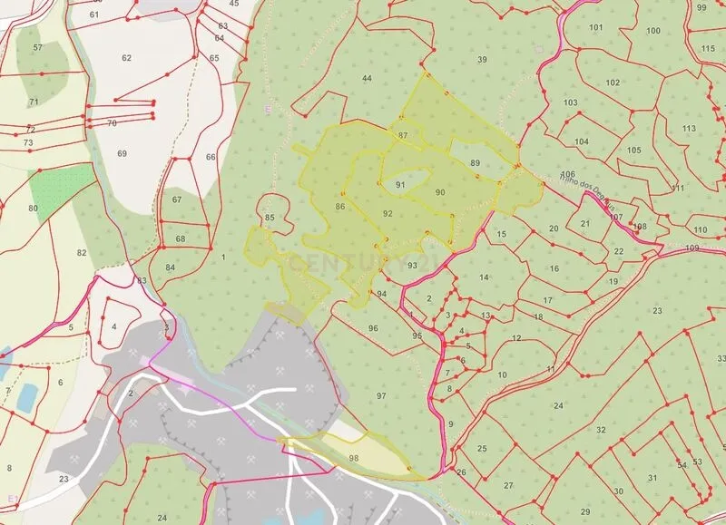 Terreno Rústico  - Image 6