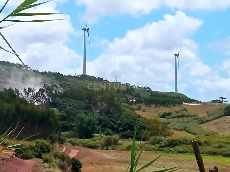 Terreno Rústico  - Image 3
