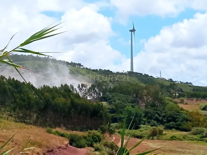 Terreno Rústico  - Image 2