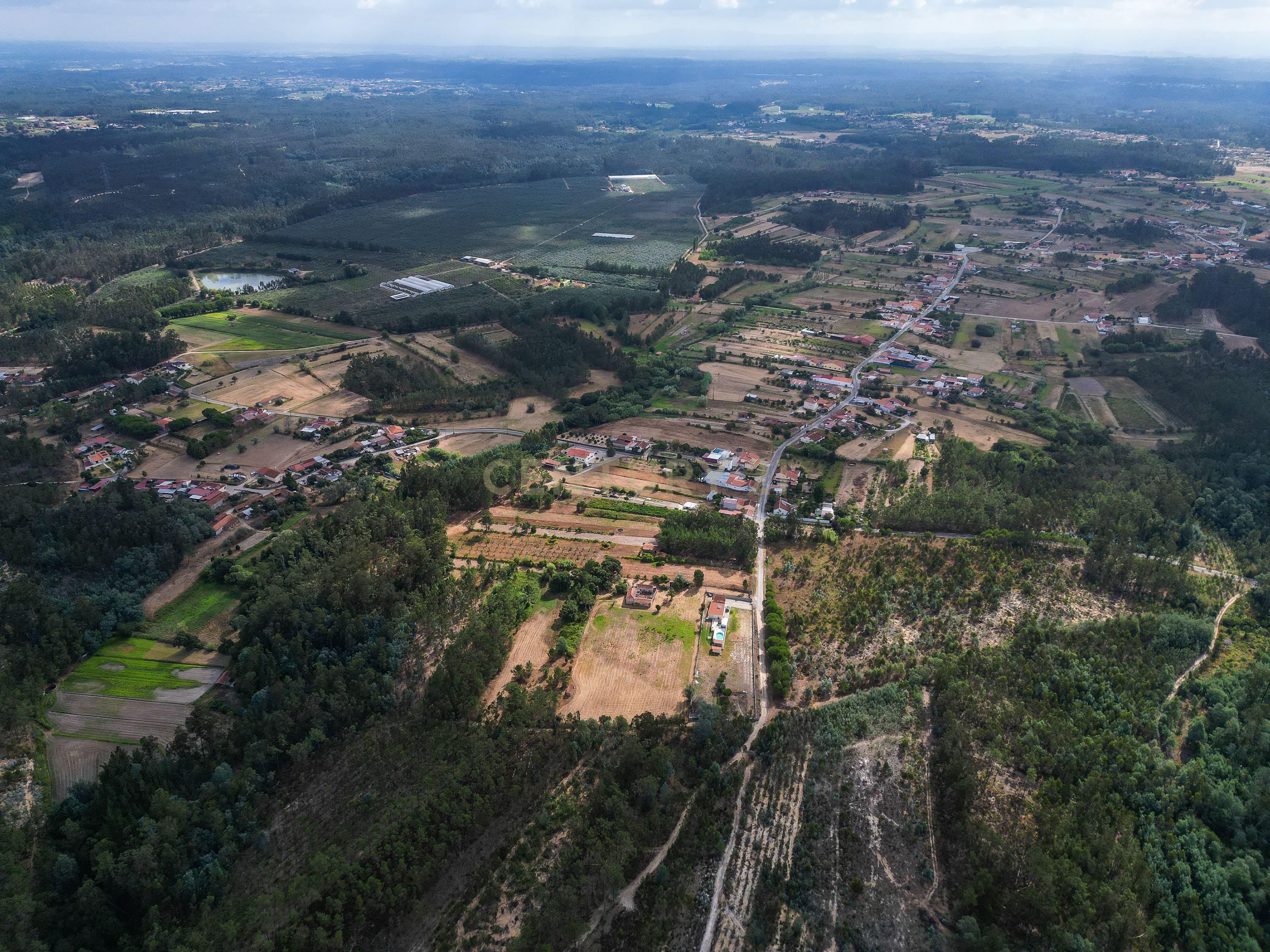 Fotografia 7 de Pinhal com 1.425 m² em Brejal – Cabeça Alta, Seixo de Gatões, Montemor-o-Velho