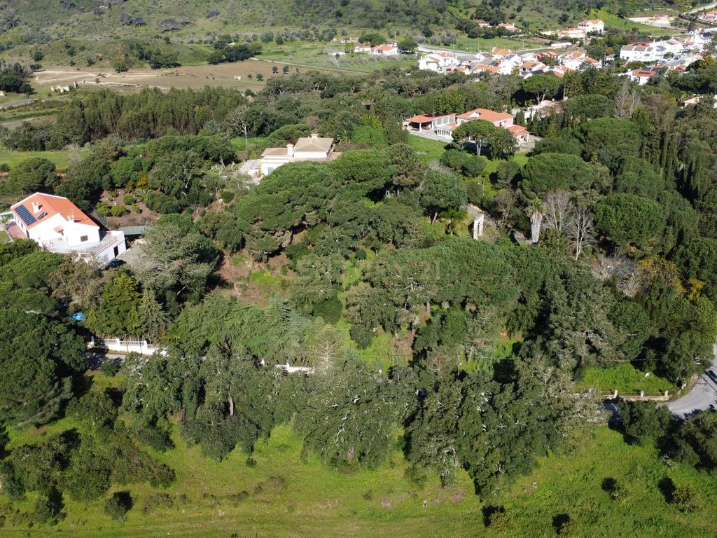 🏡 Terreno para Construção – 2.746 m² | Oportunidade Única Perto de Setúbal! 🌿 - Image 31